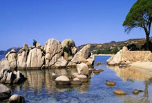 开云app今晚马德里竞技调整名单以备西甲；官宣签约环节打磨；态度坚定；年轻球员得到机会的简单介绍